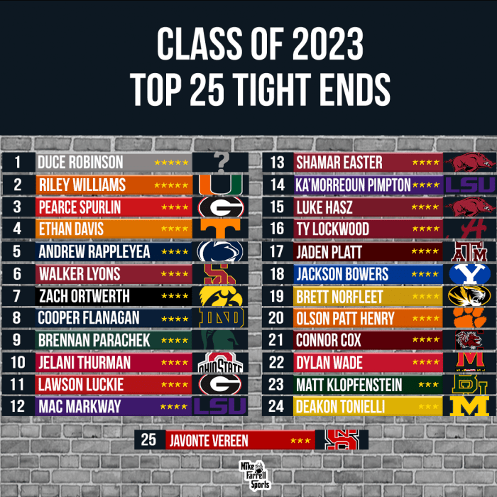 Mike Farrell's Final 2023 TE Rankings - Mike Farrell Sports