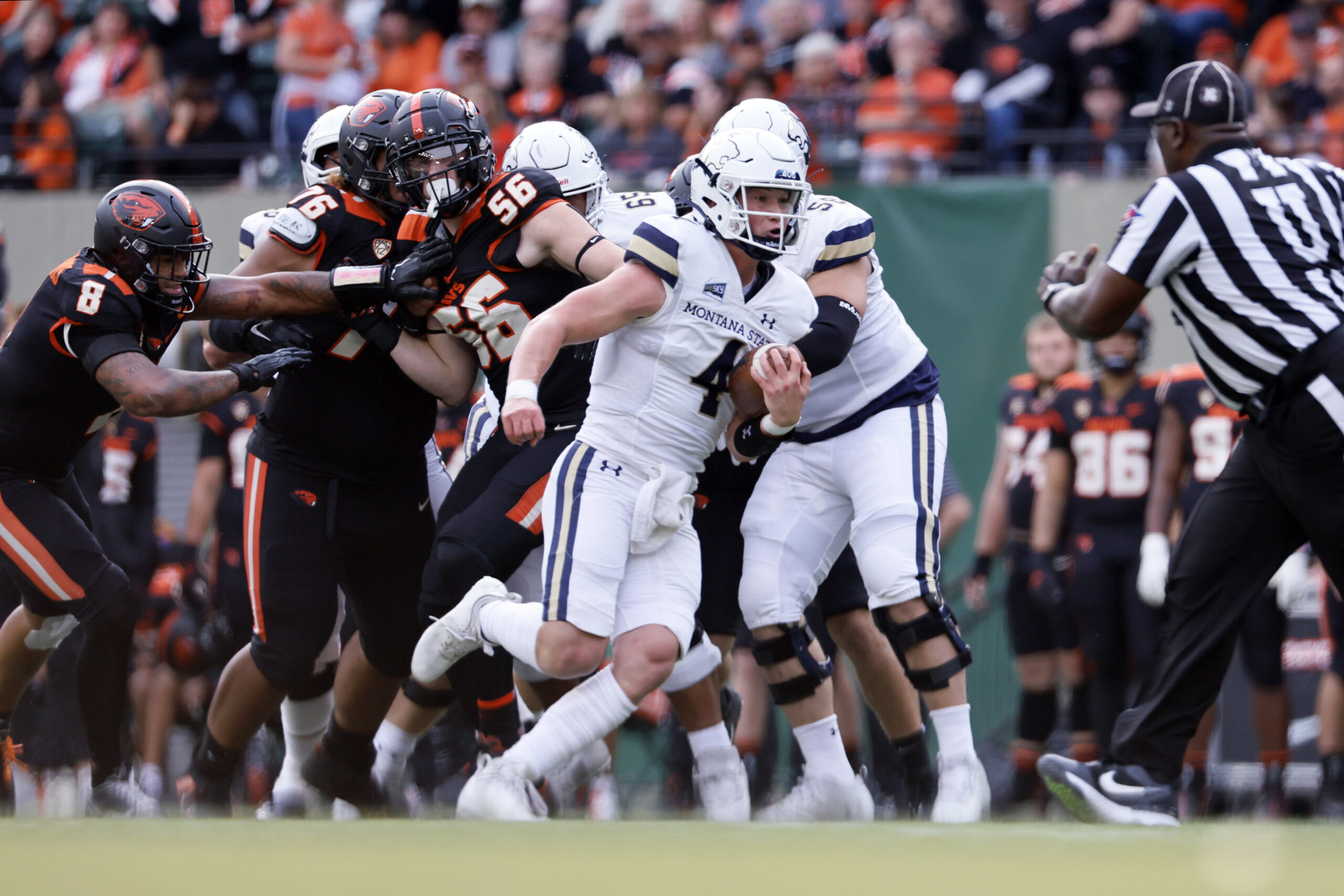 Sep 17, 2022; Portland, Oregon, USA; Montana State Bobcats quarterback Tommy Mellott (4) runs the ball during the first half against the Oregon State Beavers at Providence Park.