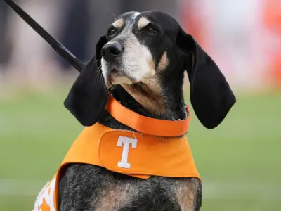 Nov 23, 2024; Knoxville, Tennessee, USA; Tennessee Volunteers mascot Smokey at a game against the UTEP Miners at Neyland Stadium.