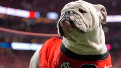 Georgia mascot Uga XI on the field during the second half of the SEC championship game against Texas in Atlanta